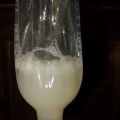 my cum