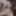 Out of control jockslut masturbator #4