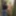 Outdoor - SPANKING in the forest