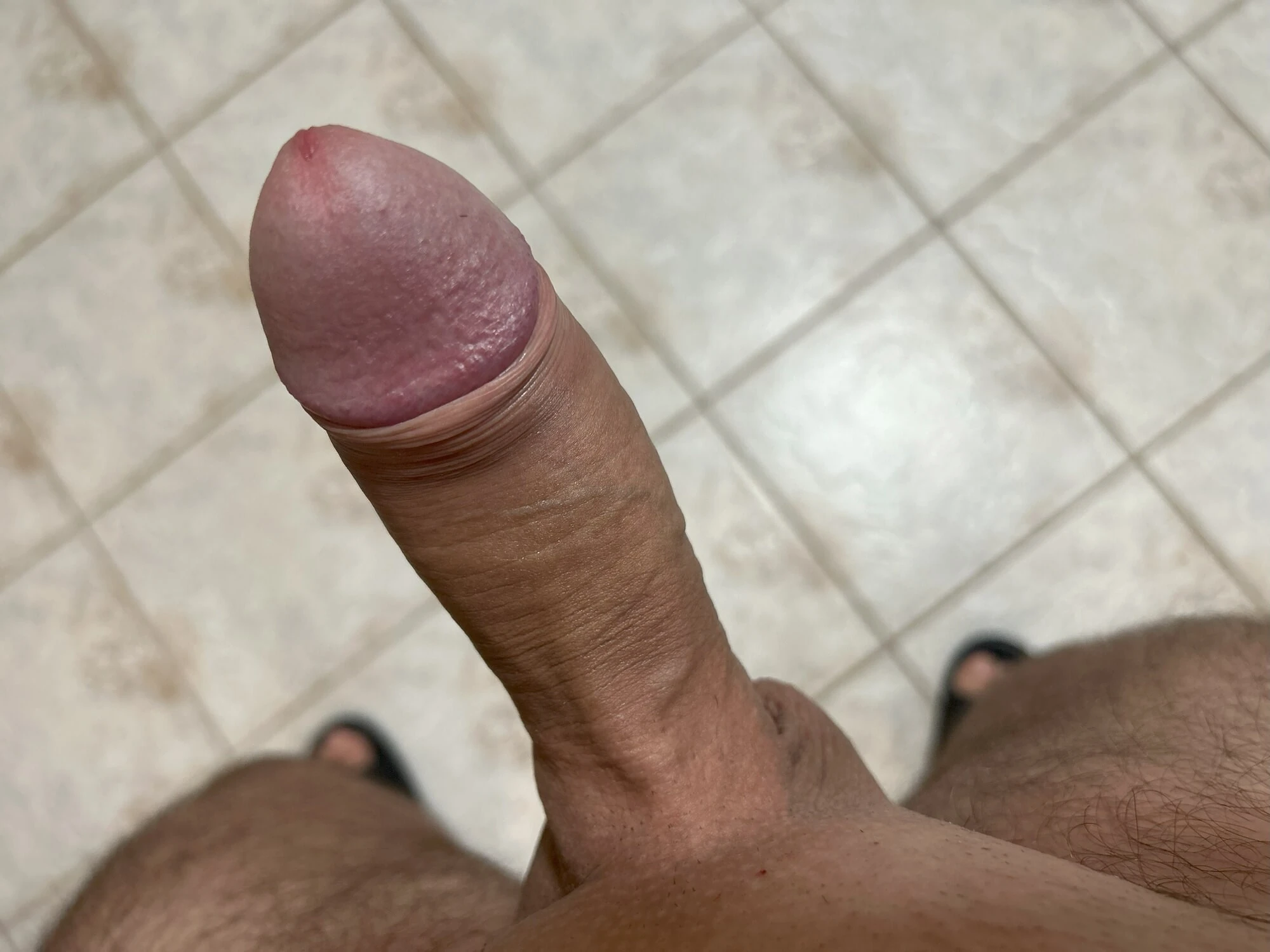 my hard cock