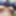 外の写真はほとんどありません