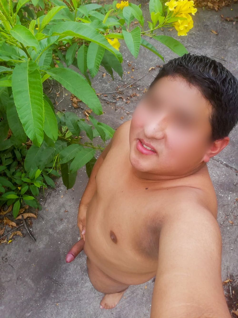 SelfiesNudes al Aire Libre (Excitado en la Calle) #25