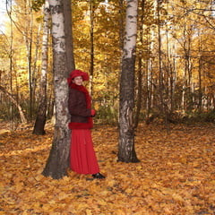 Orange Autumn 4