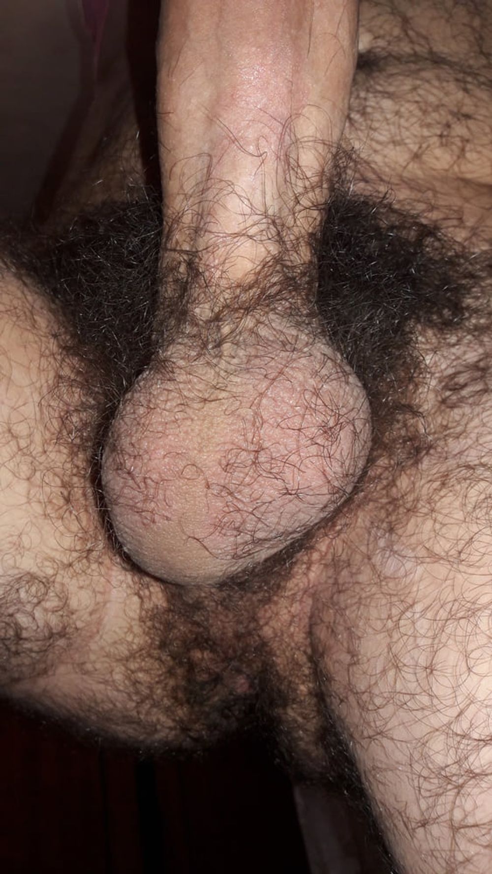 My huge hairy cock and balls) #6