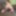 Nude wife