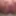My pissing cunt in detail