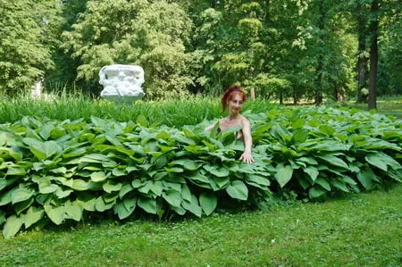 naked in the grass         