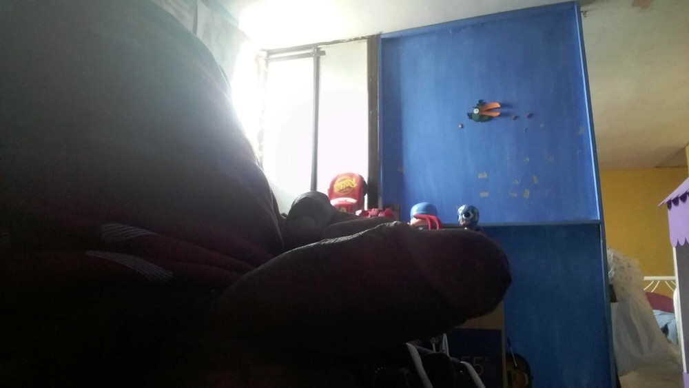 Jalandomela rico  #2