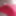 New cotton red panties  #6