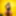 Golden Titty Pics