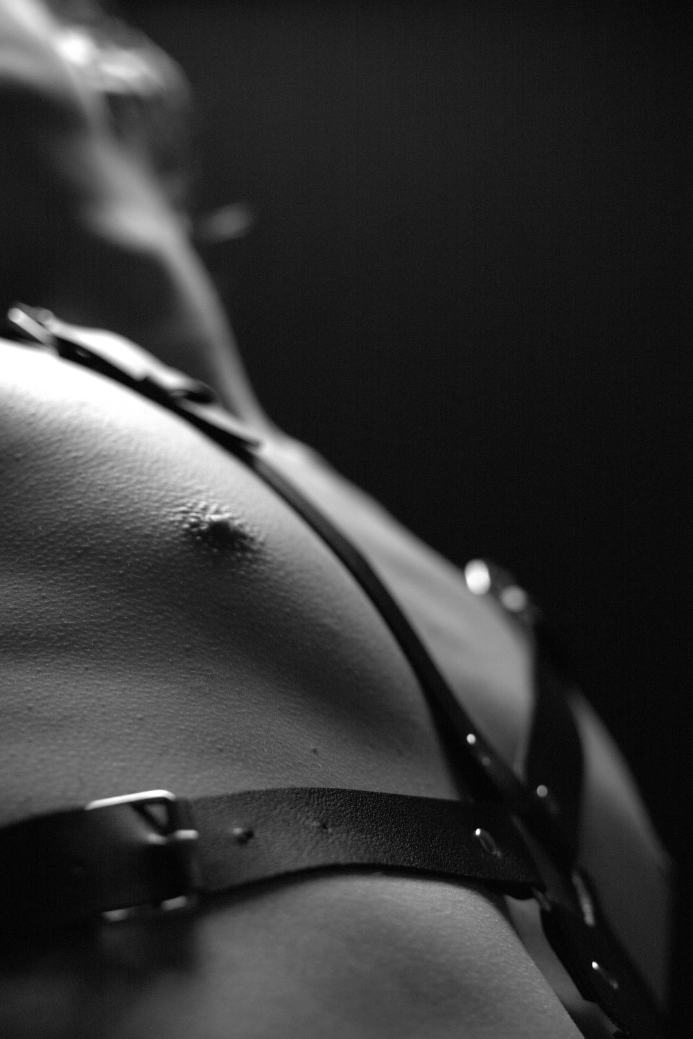 Leather and harness
