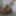 Lizzy Yum orgasm database 2023