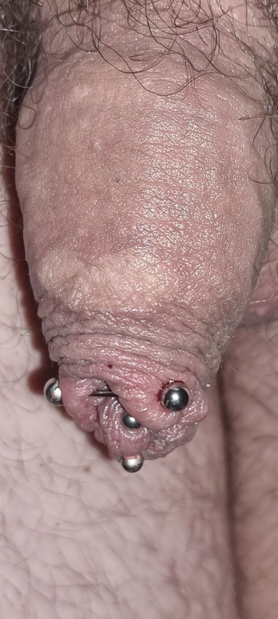 PIERCING CHASTITY