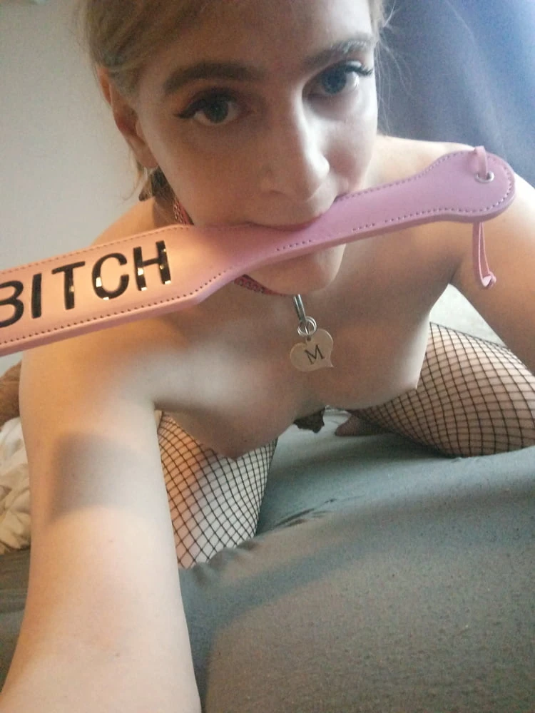 New Pictures pet #32