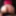 Wife's fat ass