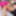 TGIRLS.XXX: Enter Brazil