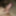 いくつかのペニスの写真