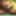 sounding dildo lingerie  shemale 5