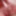my dick for fans top