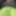 Lime spandex collection 2 