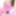 Chocky Pink Twitter@ladyboy110517