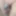 Daily duty of the naked slave April 7th, 2024 #5