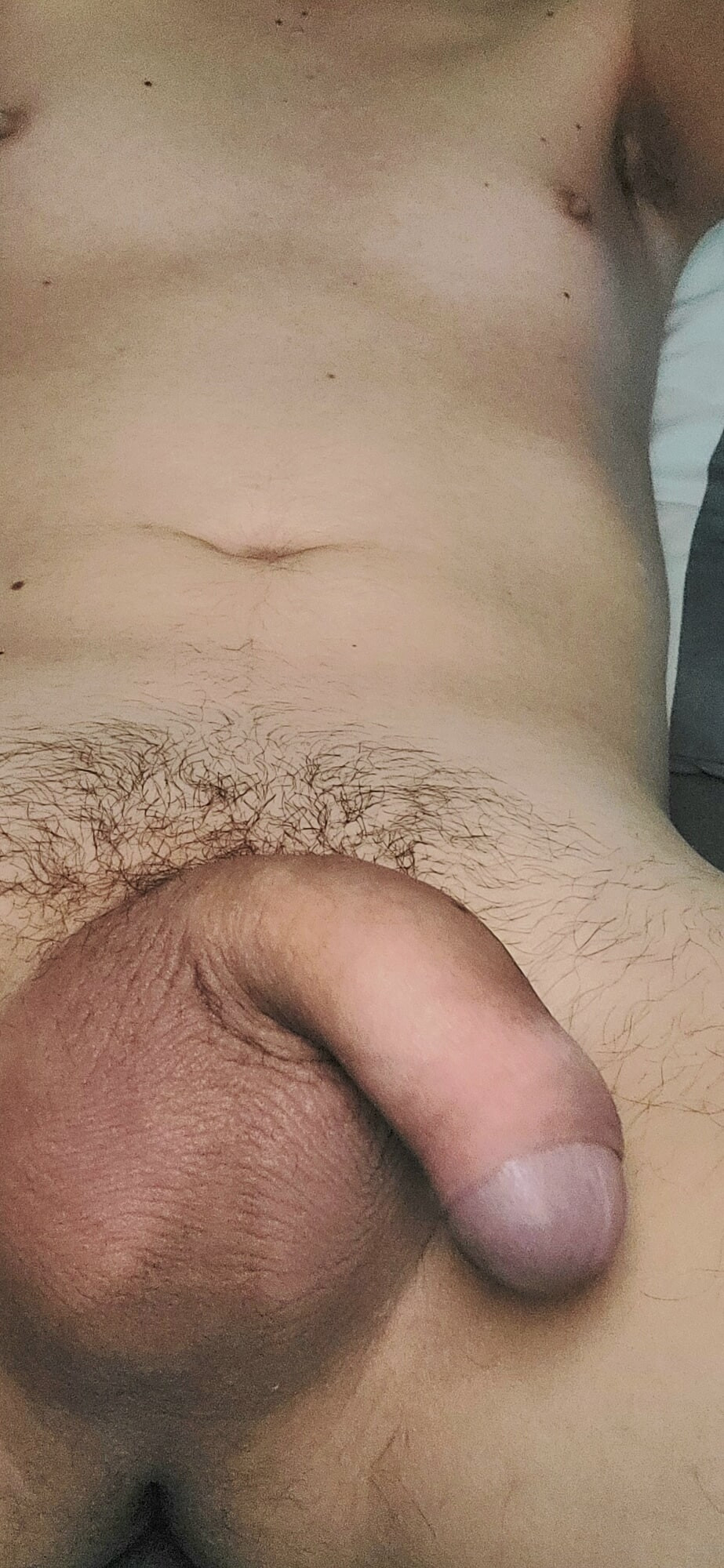My flaccid penis  #6
