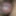 Loaded penis close up 