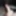 my dick 2019