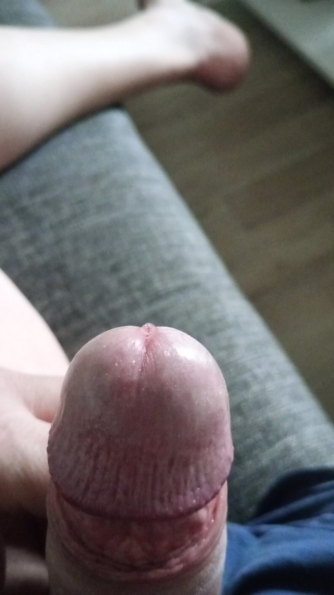 Ich  #8