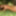 Hot Nessa Devil naked in the paradise garden #35