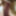 My cock photos 