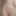 Nudes
