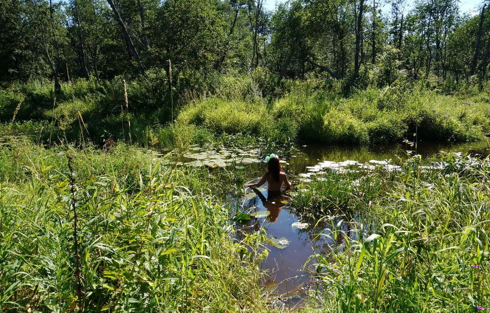 in a weedy pond #29