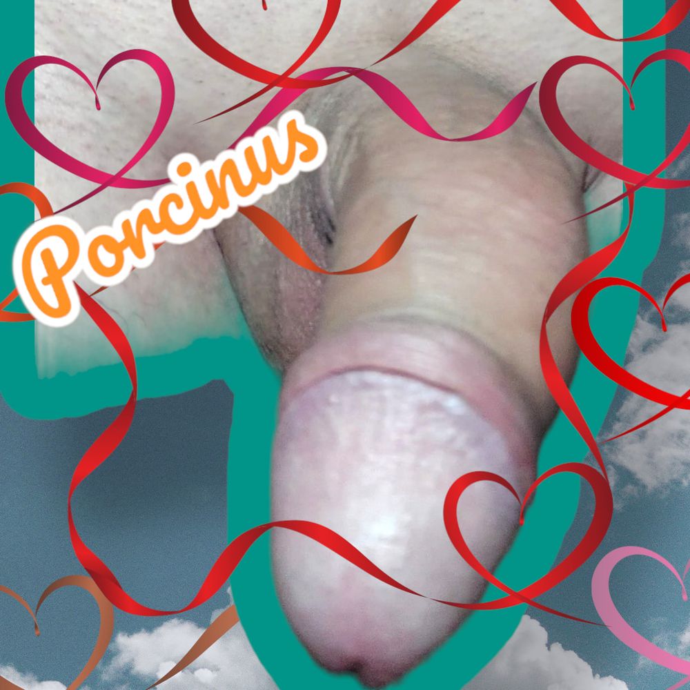 New Porcinus  #46