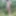 Naked in the forest