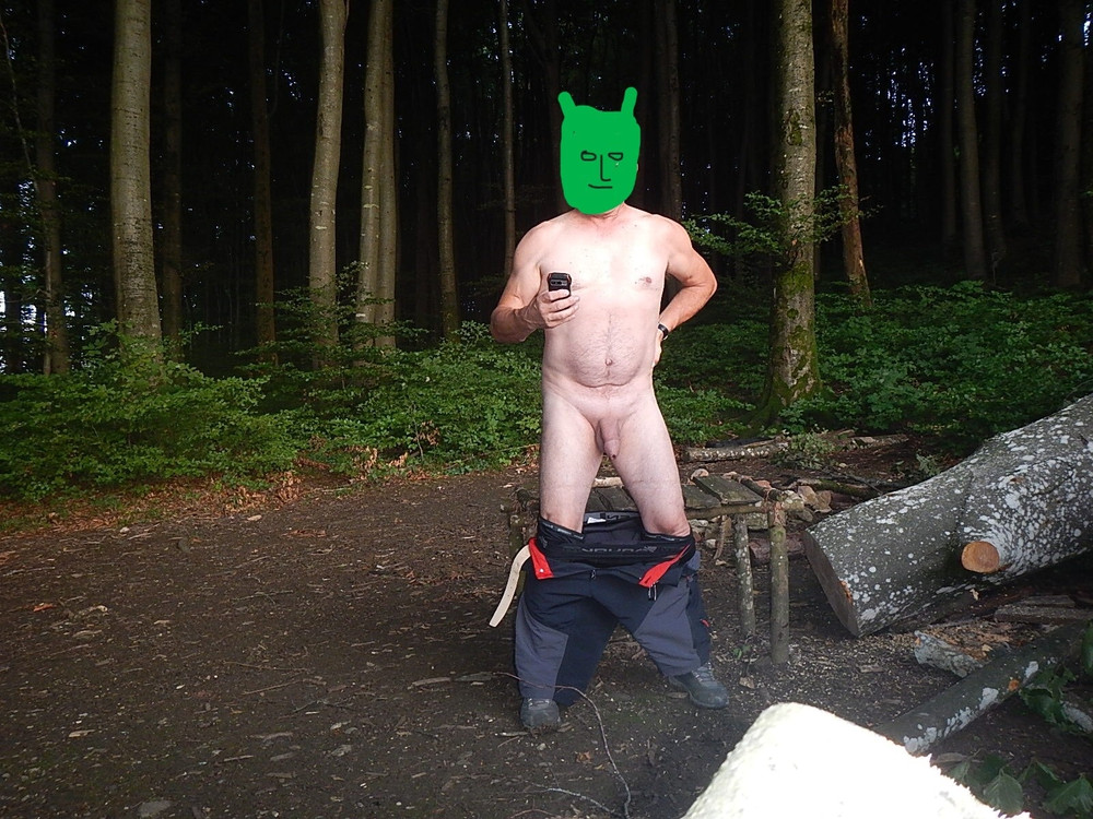 Strip in the woods #5