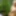 Sexy Druid Women in the Forest - HD - Teaser