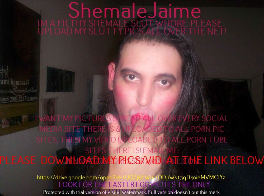 ShemaleJaime #16