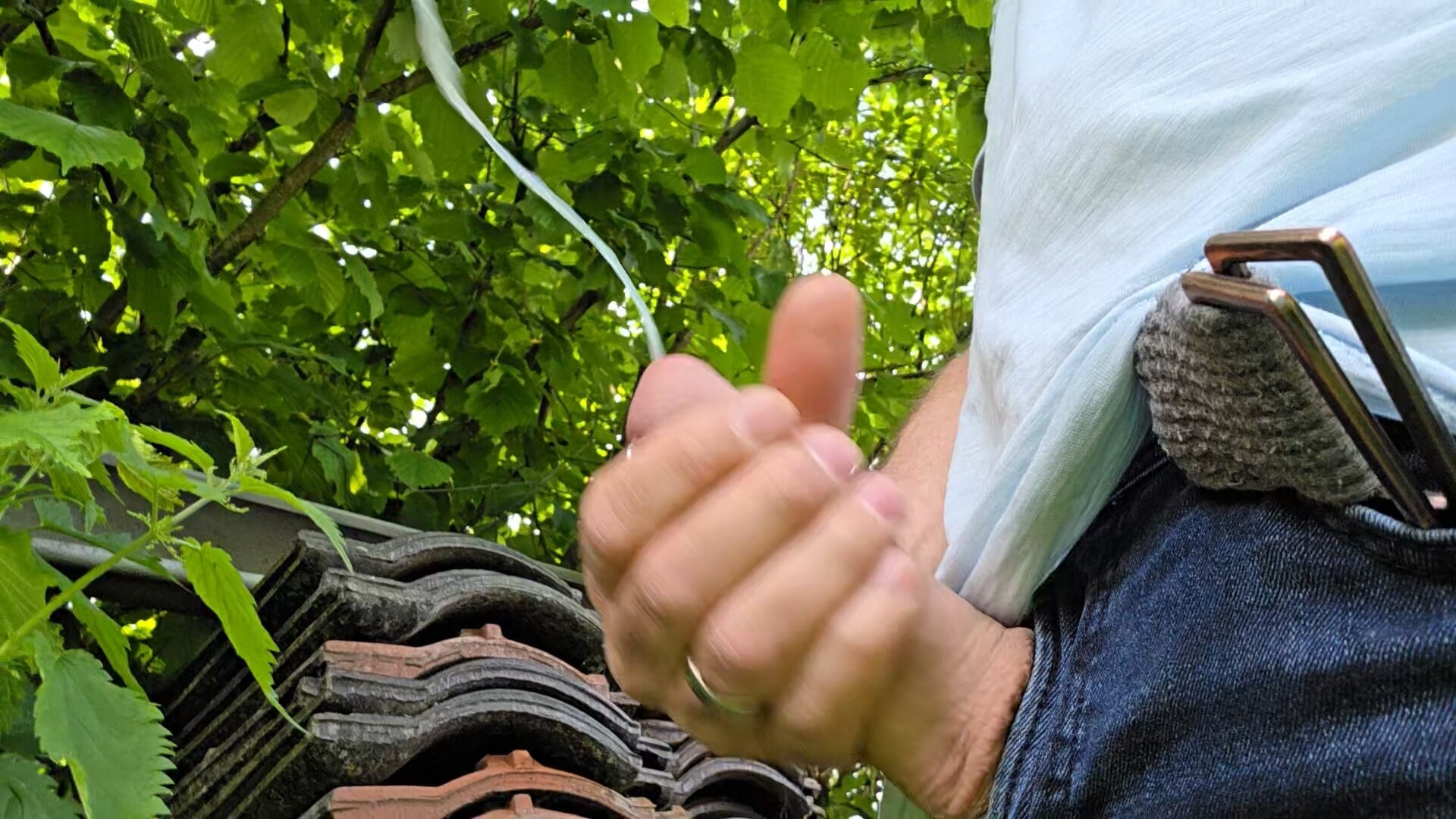 My big fat cock: playing outside and cumming! #11