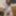 Shino Aoi :: The Prey waitress - CARIBBEANCOM #24