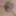 LOktober 18, 2024 Daily duty of the naked slave #5