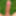 Dick