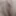 Pussy shows her pussy, all close up