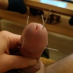 NEEDLES