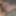 Cock #17