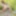  Arete paints on an open field and decides to undress