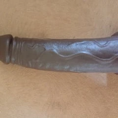 大きな黒いアフリカのコック