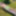 Mommy&amp;amp;#039;s Re-purposed Used Dildos.  Hugh-Titted Garden Walk #7