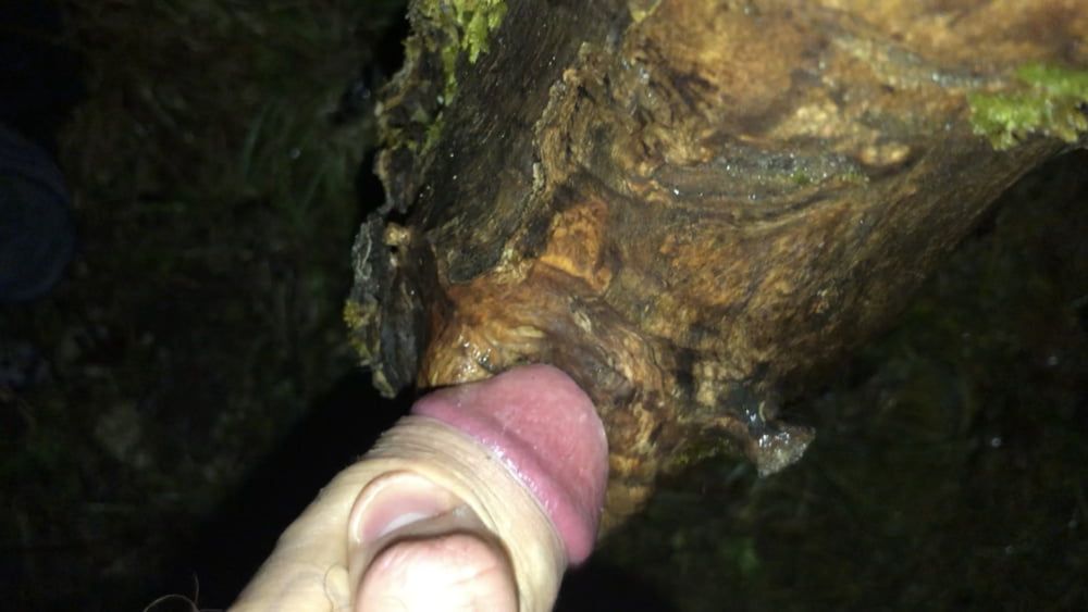 Fat cock fucking a hole